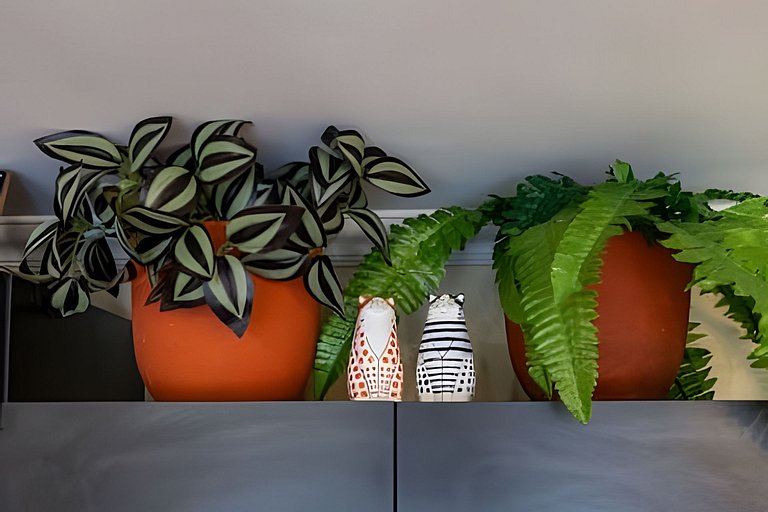 Estúdio Matisse | Design & Arte | Ipanema/Arpoador